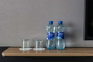 Гостиница Московские Ворота Санкт-Петербург Стандартный номер с двумя раздельными кроватями-13