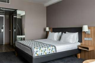 Гостиница Московские Ворота Санкт-Петербург Стандартный номер с одной большой кроватью-1