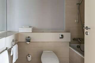 Гостиница Московские Ворота Санкт-Петербург Номер Делюкс с одной большой кроватью и диван-кроватью-14